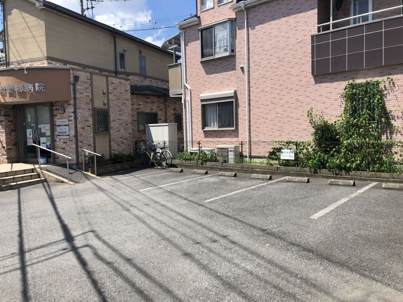 氷川町動物病院 第1駐車場