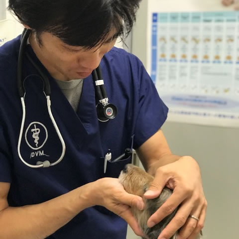 草加市花栗氷川町動物病院